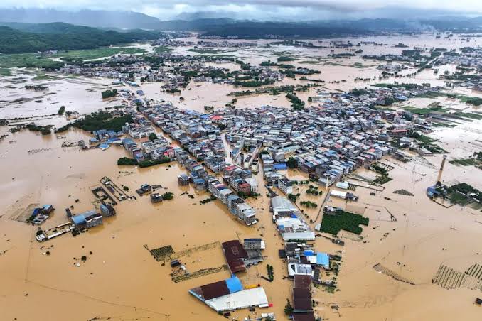 Escaped snakes after flood hits breeding facility in China