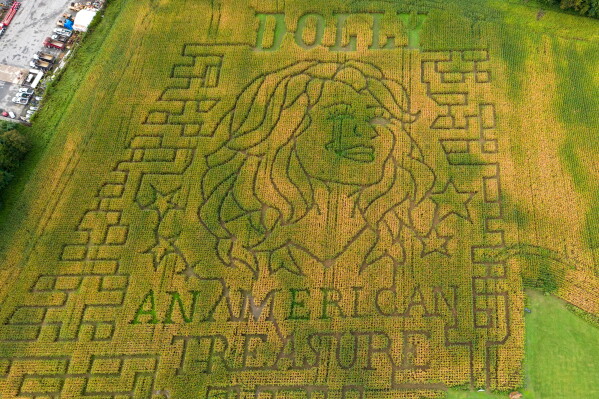 Giant corn maze designed in the image of Dolly Parton
